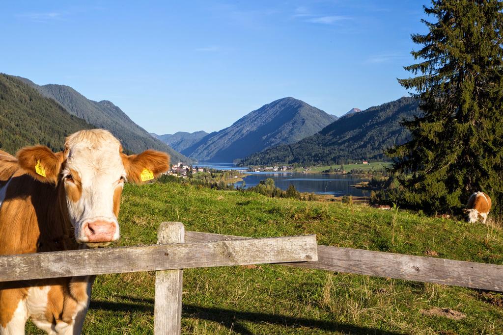 Apartmán Haus Kalt Weissensee Exteriér fotografie